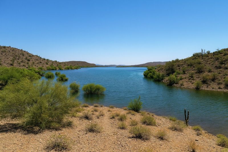 Drain Clearing Service in New River, AZ